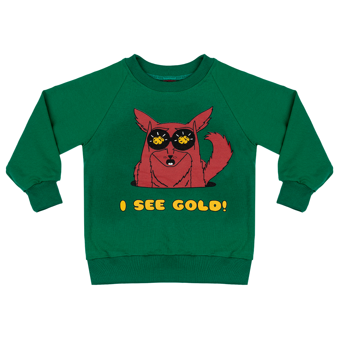 Fool's Gold Sweatshirt - LAST ONE 2-3 years